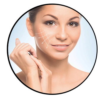 379644388_264275645935108_6250078853558386366_n_1x_png